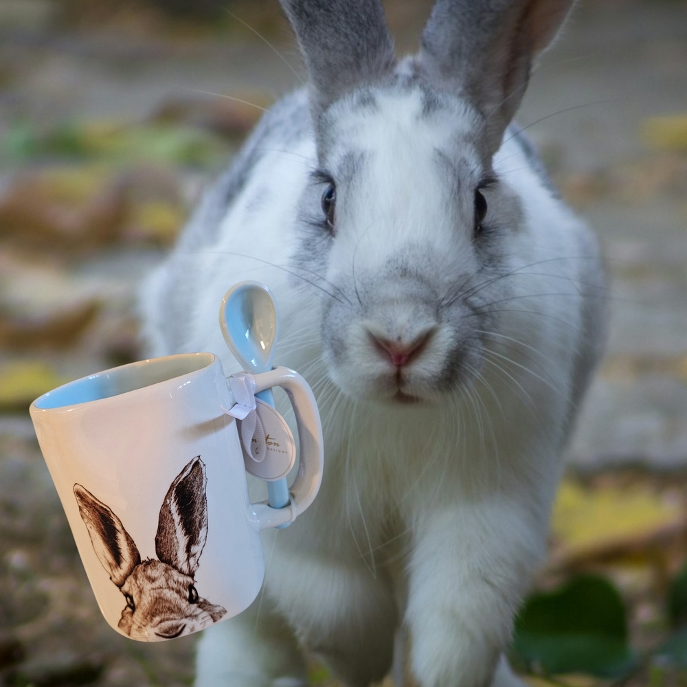 Nwt Arlington Designs Bunny Ceramic Mug with Blue Spoon 20 oz